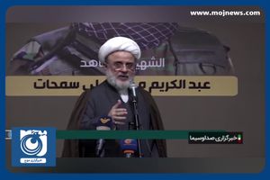 نفوذ پهپاد‌های حزب‌الله مشکل بزرگ صهیونیست‌ها + فیلم