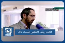ادامه روند کاهشی قیمت دلار