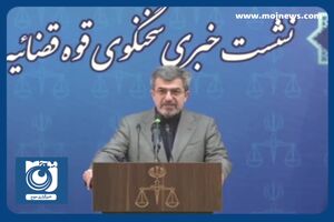 توضیحات سخنگوی قوه قضائیه درباره پرونده تخلف واردات چای + فیلم