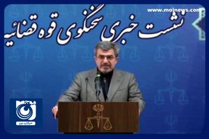 توضیحات سخنگوی قوه قضائیه درباره پرونده تخلف واردات چای + فیلم