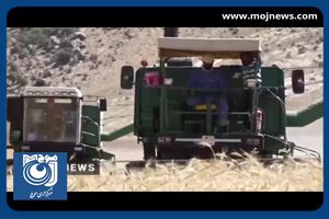  پرداخت بیش از نیمی از مطالبات گندمکاران + فیلم