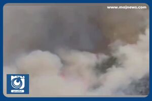 آتش‌ به‌جان کوه نارک گچساران افتاد + فیلم