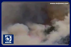 آتش‌ به‌جان کوه نارک گچساران افتاد + فیلم