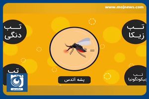 هشدار افزایش شمار مبتلایان به بیماری مالاریا در سیستان و بلوچستان + فیلم