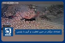 تصادف مرگبار در حین تعقیب و گریز با پلیس