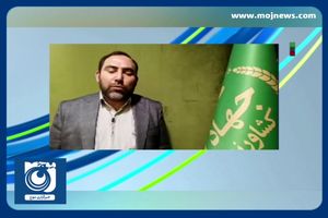 توزیع خارج از شبکه ۱۴ هزار قرص نان در زاهدان! + فیلم