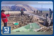 تصاویری از سقوط هواپیمای تک سرنشین در کازرون + فیلم