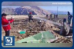 تصاویری از سقوط هواپیمای تک سرنشین در کازرون + فیلم