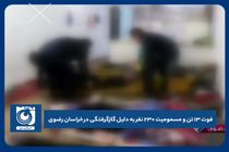 فوت 13 تن بر اثر گاز گرفتگی در خراسان