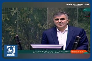 در خصوص دلارزدایی حساس هستیم + فیلم