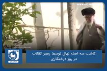 کاشت سه اصله نهال توسط رهبر انقلاب در روز درختکاری