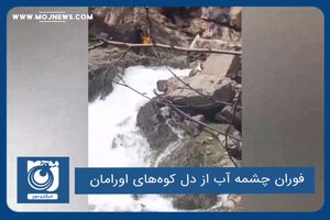 فوران چشمه آب از دل کوه‌های اورامان