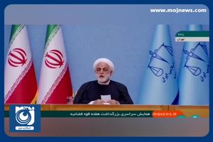 سخنان رئیس قوه قضائیه از آمار بخشش قصاص در سال گذشته + فیلم