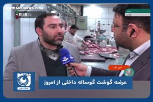 عرضه گوشت گوساله داخلی از امروز