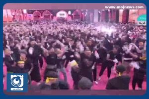 حال و هوای کربلای معلی یک روز مانده به اربعین حسینی + فیلم