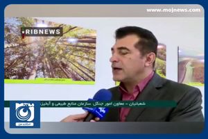 مرحله دوم طرح کاشت یک میلیارد درخت + فیلم