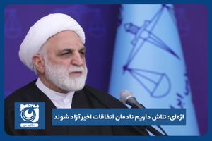  تلاش داریم نادمان اتفاقات اخیر آزاد شوند