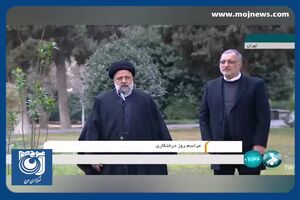 همه قشرها و ارگان‌ها باید به درختکاری توجه کنند + فیلم