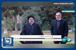 همه قشرها و ارگان‌ها باید به درختکاری توجه کنند + فیلم