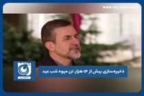 ذخیره‌سازی بیش از ۱۴ هزار تن میوه شب عید