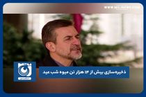 ذخیره‌سازی بیش از ۱۴ هزار تن میوه شب عید