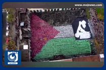 اقدام خلاقانه اسپانیایی‌ها برای حمایت از فلسطین + فیلم