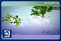 اعمال شب نوزدهم ماه رمضان + فیلم