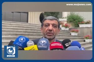 مدیر کل میراث فرهنگی استان فارس آزاد شد + فیلم