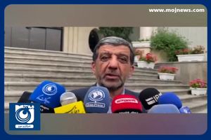 مدیر کل میراث فرهنگی استان فارس آزاد شد + فیلم