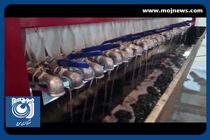بومی سازی تبدیل پسماند پلاستیک به سوخت جامد + فیلم