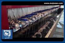 بومی سازی تبدیل پسماند پلاستیک به سوخت جامد + فیلم