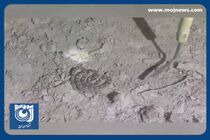 ایران صادر کننده برتر پادزهر به عراق + فیلم