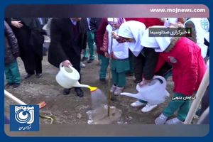 کاشت ۹۰ میلیون درخت در یک سال گذشته + فیلم