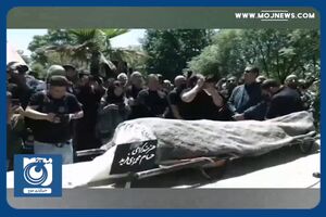حسام محمودی به خاک سپرده شد + فیلم