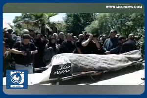 حسام محمودی به خاک سپرده شد + فیلم