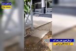 مسئولیت‌پذیری فراتر از وظیفه/ وقتی آبفا مانع هدررفت آب در فضای سبز شهرداری شد