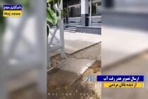 مسئولیت‌پذیری فراتر از وظیفه/ وقتی آبفا مانع هدررفت آب در فضای سبز شهرداری شد