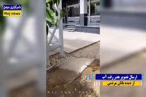 مسئولیت‌پذیری فراتر از وظیفه/ وقتی آبفا مانع هدررفت آب در فضای سبز شهرداری شد