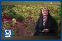 ثبت نام قطعی ۱۰ هزار و ۷۲۴ داوطلب انتخابات مجلس + فیلم
