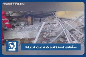 سگ‌های جست‌وجو و نجات ایران در ترکیه