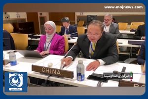 نشست آستانه و ادامه رایزنی‌های دیپلماتیک امیرعبداللهیان در نیویورک + فیلم