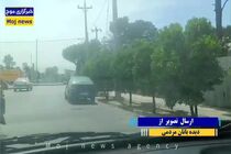 سایه سنگین تغییر کاربری بر ریه‌های سبز شهر شیراز 