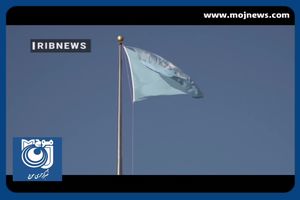 بخش خصوصی ملزم به خرید دانه‌های روغنی تولید داخل + فیلم