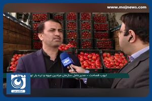 کاهش قیمت گوجه فرنگی + فیلم