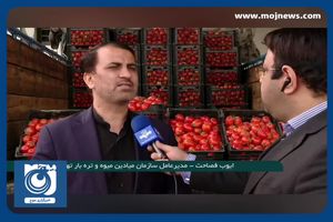 کاهش قیمت گوجه فرنگی + فیلم