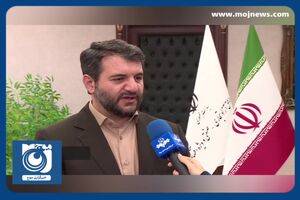 امکان ورود خودرو‌های مناطق آزاد با پلاک ملی + فیلم