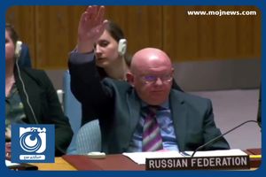 تصویب قطعنامه شورای امنیت علیه ارتش یمن + فیلم