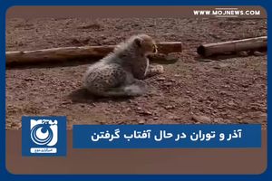 آذر و توران در حال آفتاب گرفتن