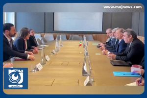 دیدار امیرعبداللهیان با رئیس کمیته بین‌المللی صلیب سرخ + فیلم