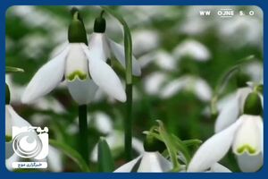 دعای تحویل سال با صدای استاد شجریان